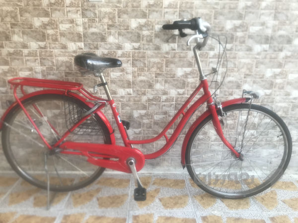 پاسكيلى باله ى يابانى اصلى لوك عجم 26