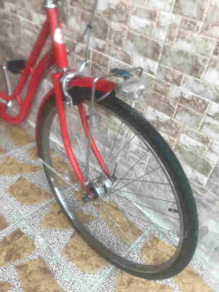 پاسكيلى باله ى يابانى اصلى لوك عجم 26 - 4