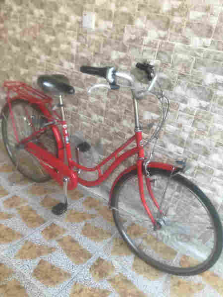 پاسكيلى باله ى يابانى اصلى لوك عجم 26 - 3