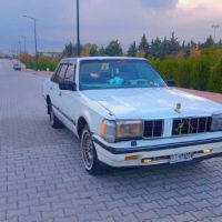 سؤ به ر مؤ ديلي 1985