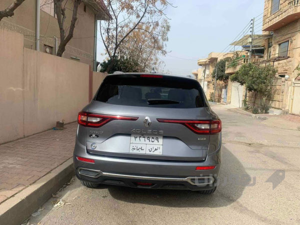 ڕینۆ کۆڵیوس