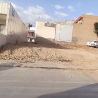 زه وی. زۆر. جوان بۆ فرۆشتن