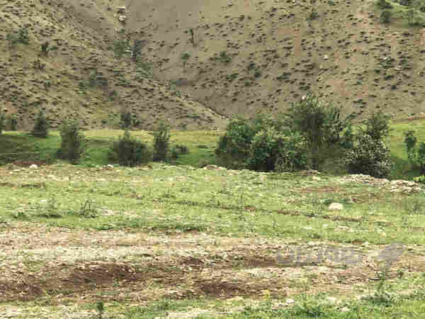 زەوی ناوازە بۆ فرۆشتن 