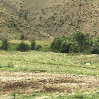 زەوی ناوازە بۆ فرۆشتن 