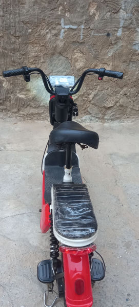 پاسکیل شەحن - 2