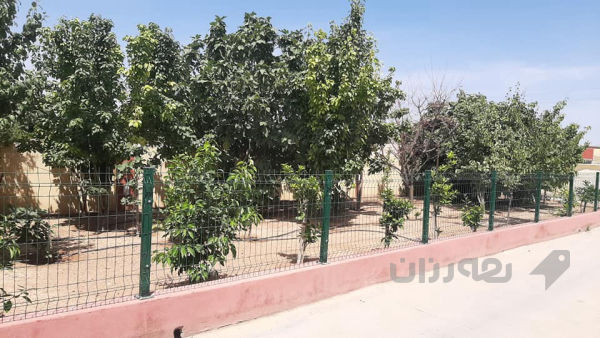 مزرعه فول مواسفات - 2