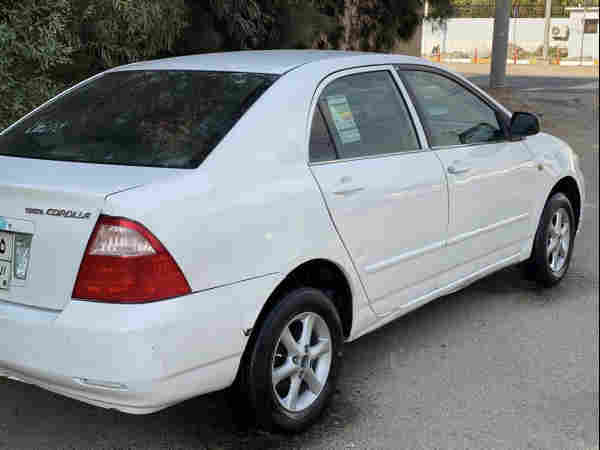 بيكاشؤ 2005 - 2