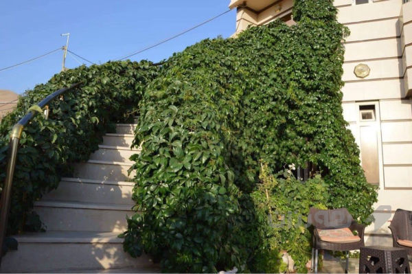 خانوو بو فروشتن  - 5