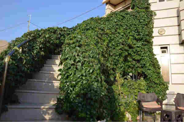 خانوو بو فروشتن  - 5