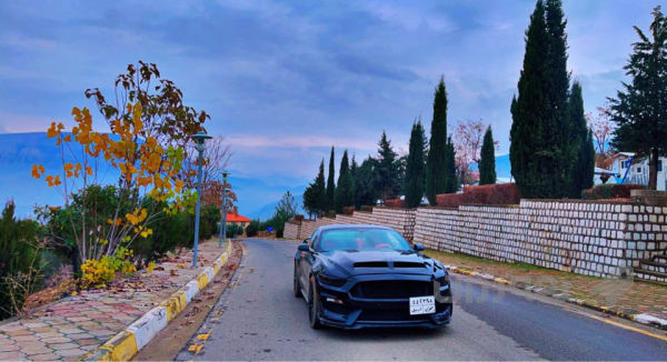 Mostang 2016