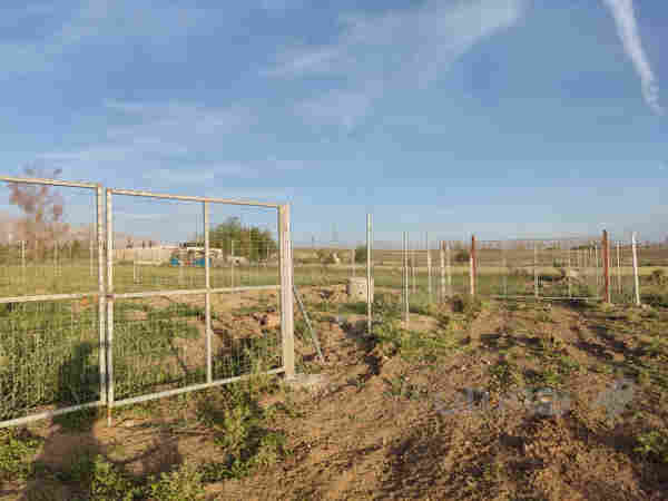 زەوی باخ  لە سوسێ لە نزیک پیرەمەگرون بۆ فرۆشتن