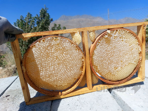 هەنگوینی سروشتی شانە خڕ و چوارگۆشە