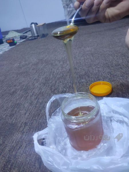 هەنگوێنی خۆماڵی 