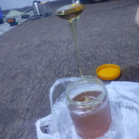 هەنگوێنی خۆماڵی 
