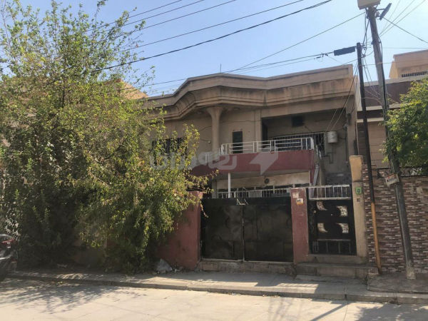 خانووی کۆن لە سەرچنار - 4