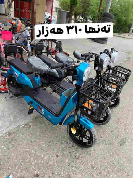 پاسکیل شەحن