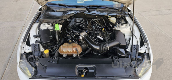 مۆستانگ 2016 V6 - 5