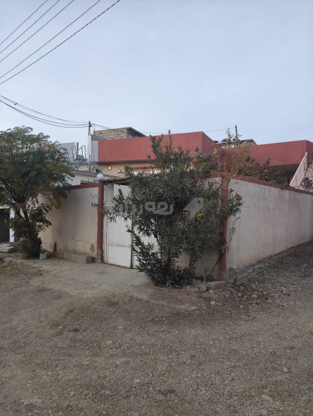 خانــــوی  180  مـــە تری ڕوکن بۆ فرۆشتن - 12