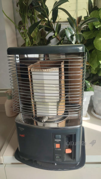 زۆپای بالەی یابانی  - 3