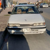 ئاڕم پلاستیک سلیمانی 30گەڵا