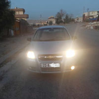 ئەڤیۆ 2009 