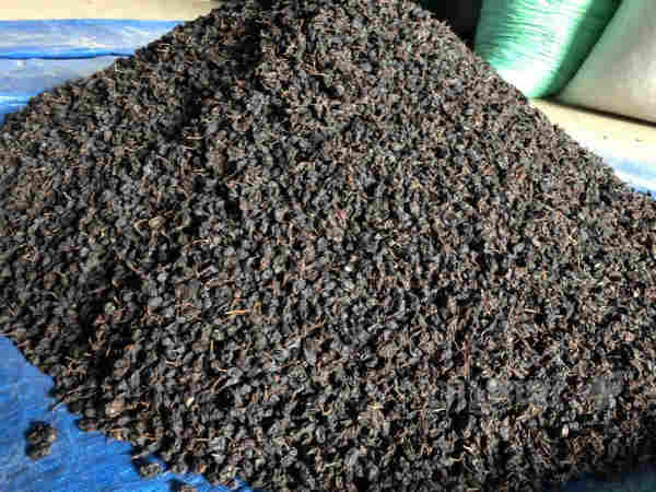 مێوژی خۆمالی 