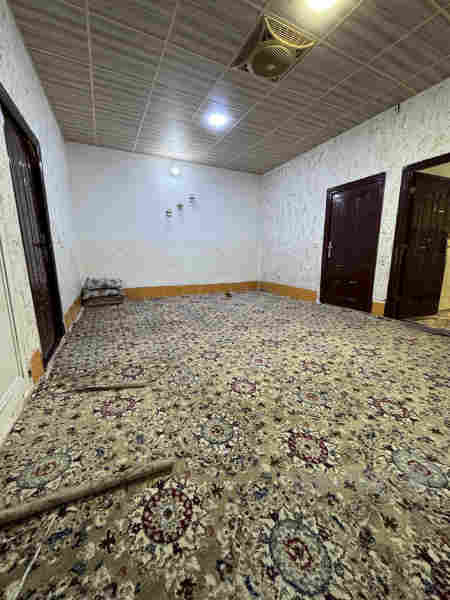 خانوی تاپۆلەسلیمانی شیخ عەباس - 2