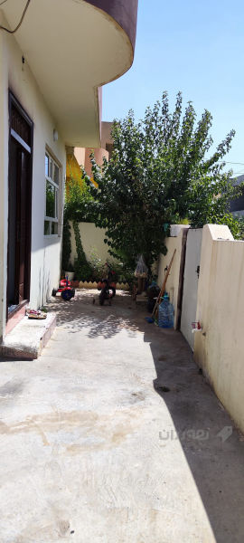 خانوی   100 مە تری ڕوکن   - 5