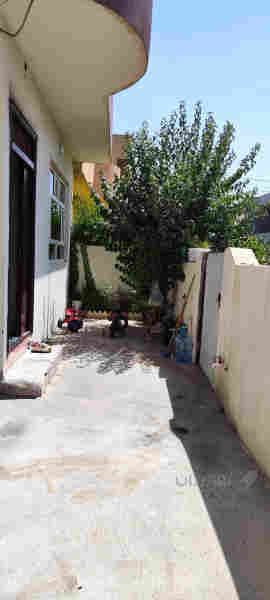 خانوی   100 مە تری ڕوکن   - 5