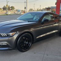mostang V6