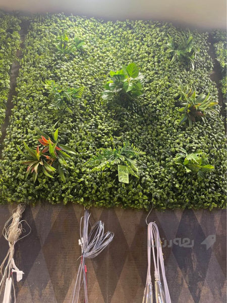 ستافی SM green wall