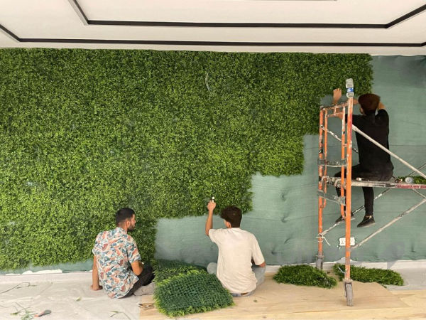 ستافی SM green wall - 2