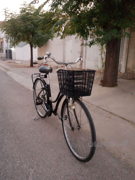 پاسکیل - 5