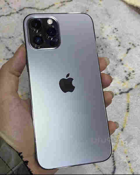     iPhone 12 Pro Max
