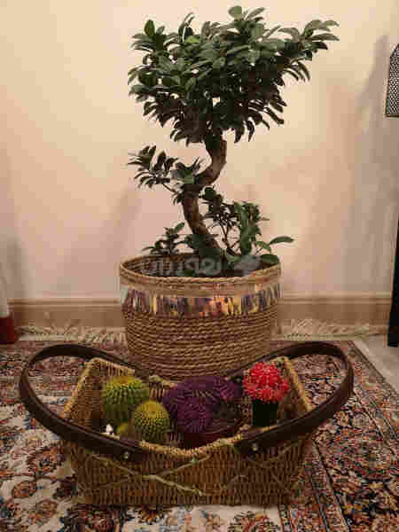 بۆ جوانکاری و دیاری دەگونجێ