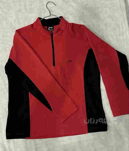 بلوسی شاخەوانی 