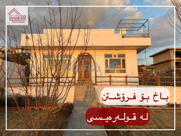 باخ بۆ فرۆشتن لە قولەرەیسی