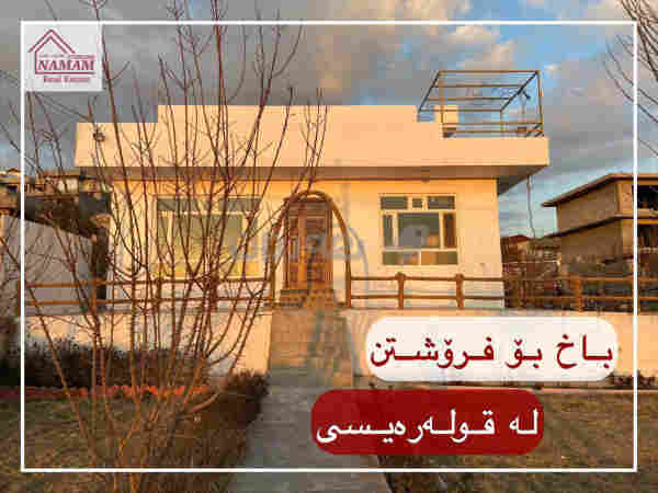 باخ بۆ فرۆشتن لە قولەرەیسی