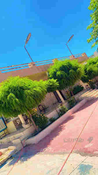 مەزرەعەی شاز  بۆفرۆشتن - 4