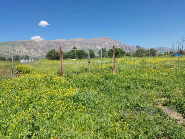 زەوی باخ بۆ فرۆشتن