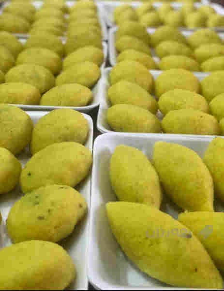 خۆشترین کوبە و کفتە - 3
