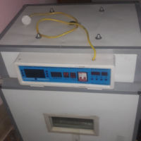 هەڵهێنەری سینی ئیمتیازی ایتاڵی 176هێلکە