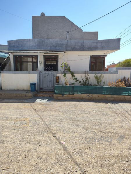 خـــانوی  100 مەتری ڕوکن 