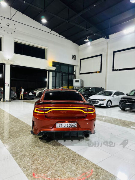 جارجر سكات باك وارد امريكي2021  - 2