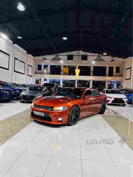 جارجر سكات باك وارد امريكي2021 