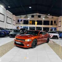 جارجر سكات باك وارد امريكي2021 