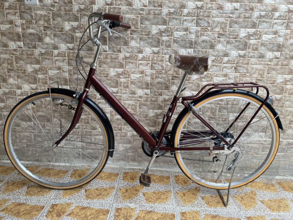 پاسكيلى باله ى اصلى لوك عجم 27 - 3