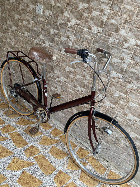 پاسكيلى باله ى اصلى لوك عجم 27 - 2