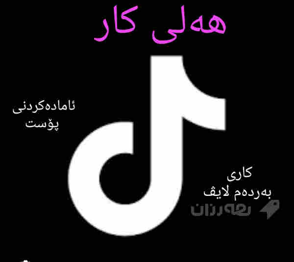 کارمەند ڕەگەزی مێ بۆ لایڤی تیکتۆک عەرەبی بزانێت