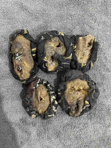 کمتیار که متیار